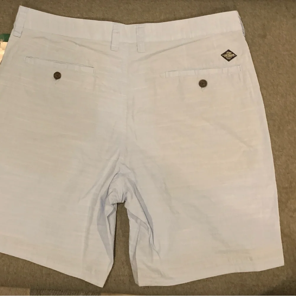 Flag & Anthem light blue shorts - Picture 2 of 7